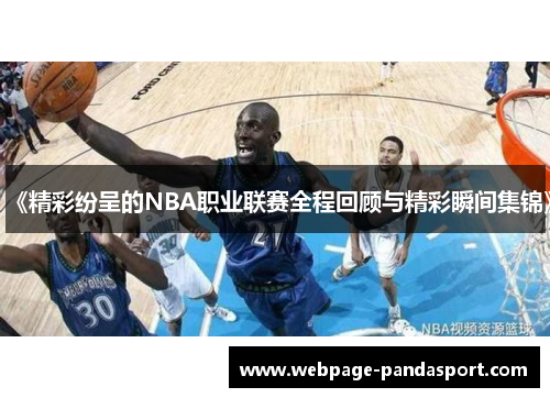 《精彩纷呈的NBA职业联赛全程回顾与精彩瞬间集锦》