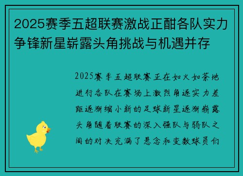 2025赛季五超联赛激战正酣各队实力争锋新星崭露头角挑战与机遇并存