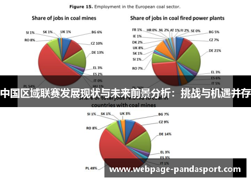 中国区域联赛发展现状与未来前景分析：挑战与机遇并存