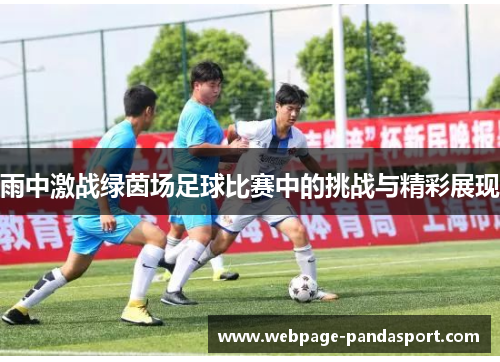 雨中激战绿茵场足球比赛中的挑战与精彩展现